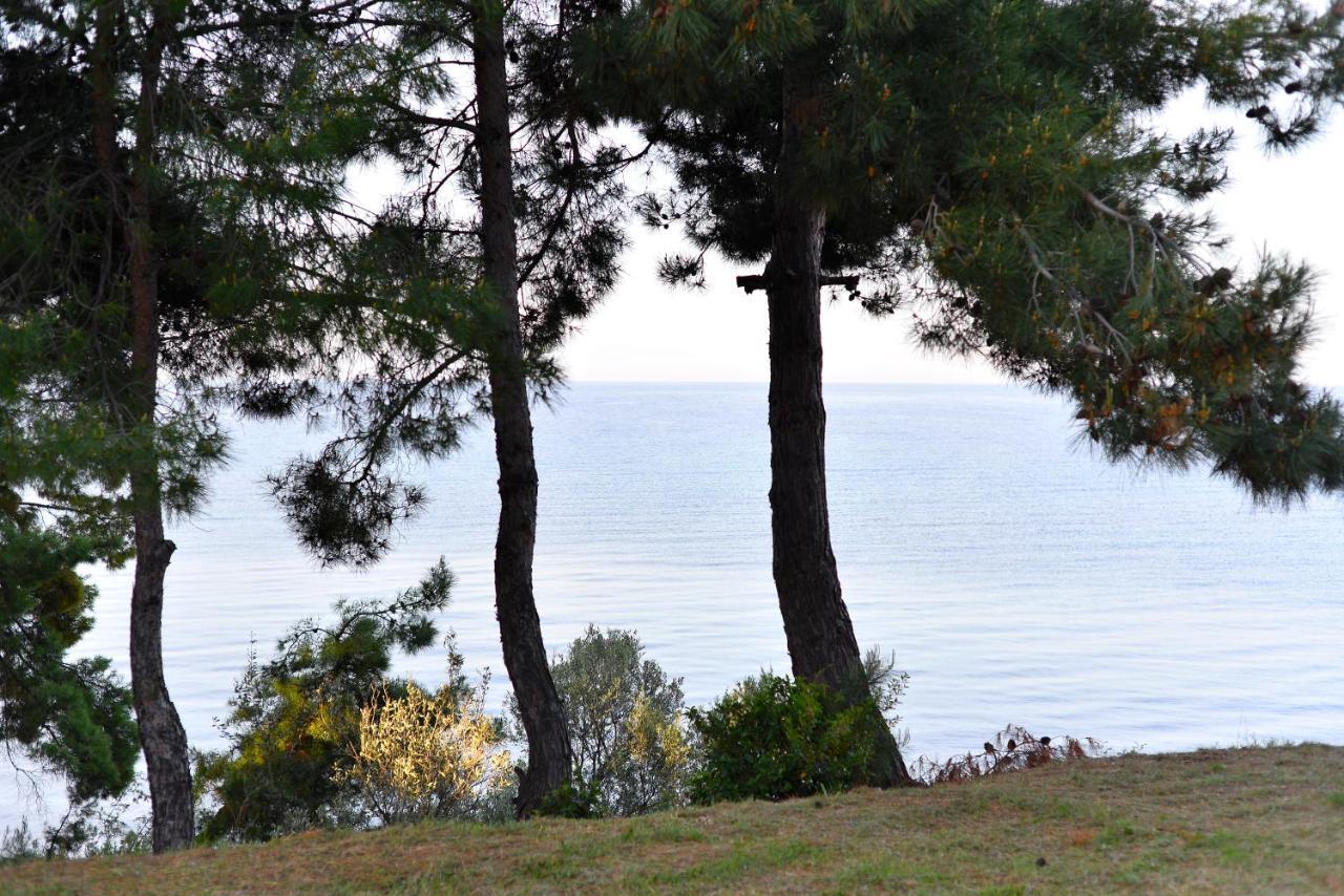 Summerday Villa Private Beach Néa Irákleia Eksteriør billede