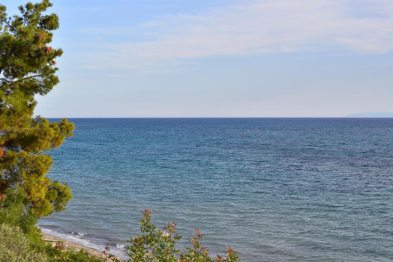 Summerday Villa Private Beach Néa Irákleia Eksteriør billede